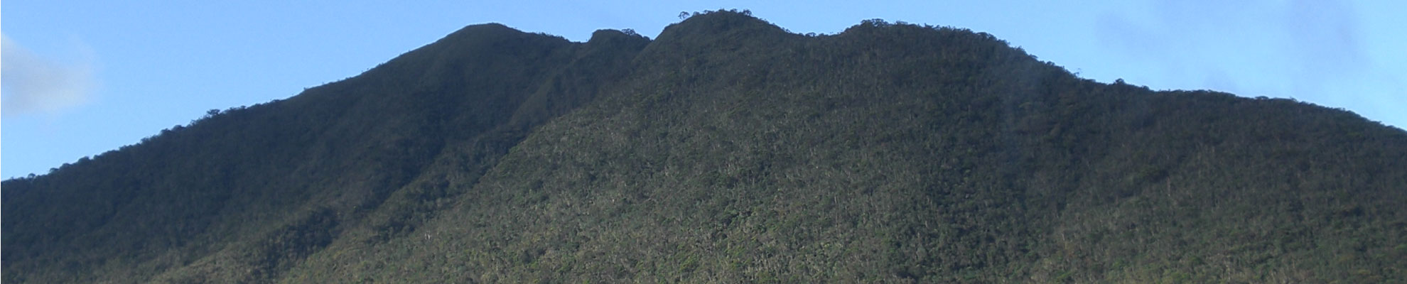 Mount Hamiguitan Range Wildlife Sanctuary