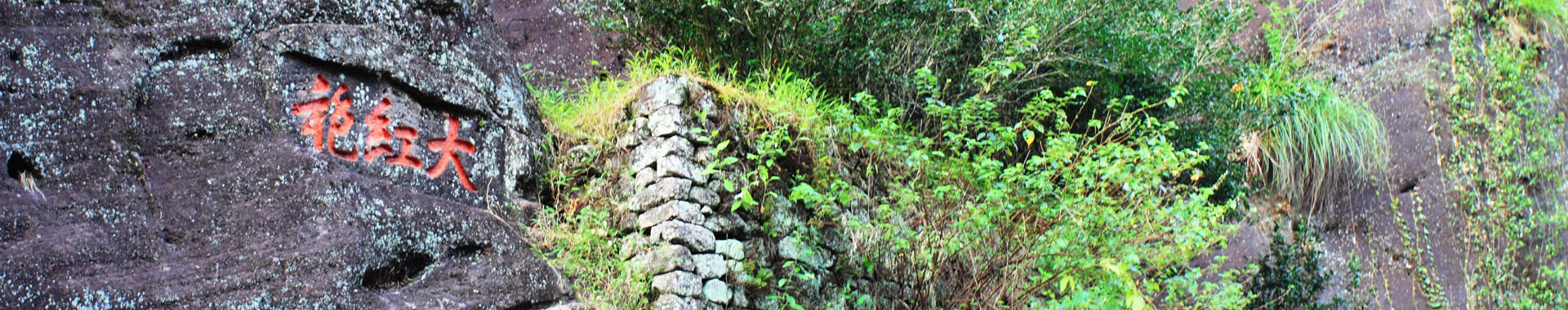 Mount Wuyi