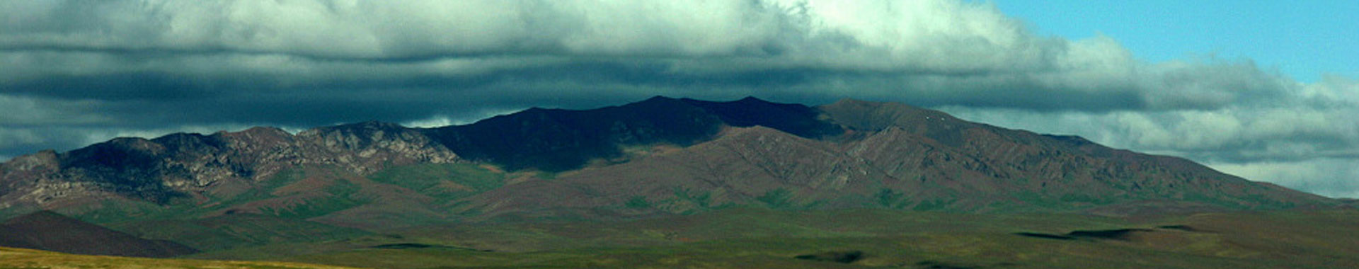 Qinghai Hoh Xil