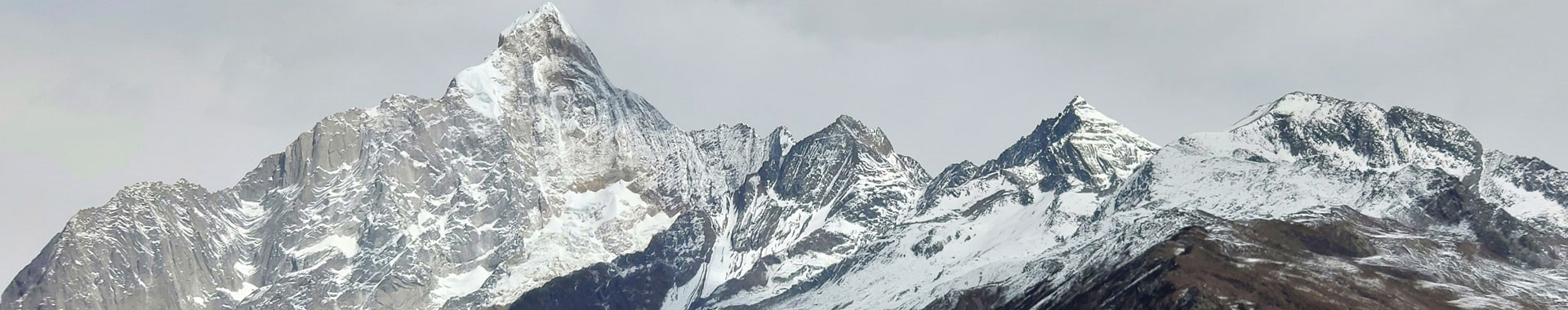 Sichuan Giant Panda Sanctuaries - Wolong, Mt Siguniang and Jiajin Mountains