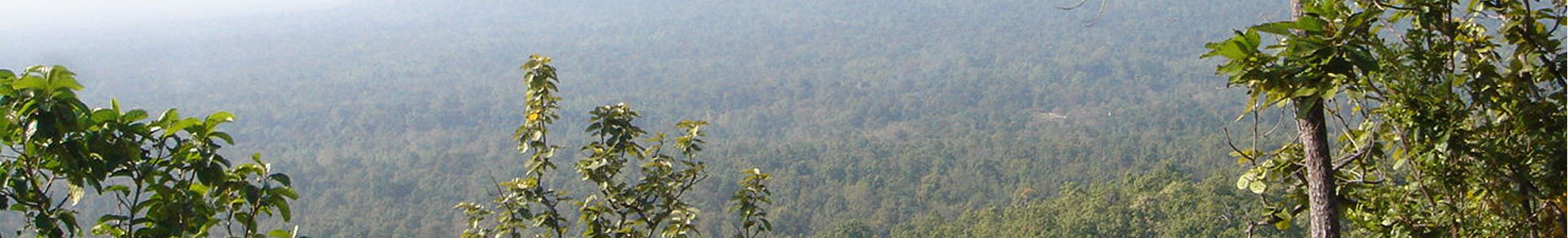 Thungyai-Huai Kha Khaeng Wildlife Sanctuaries
