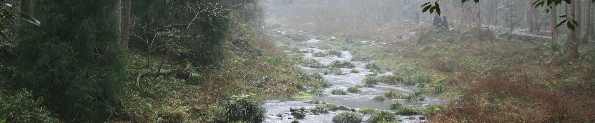 Wulingyuan Scenic and Historic Interest Area
